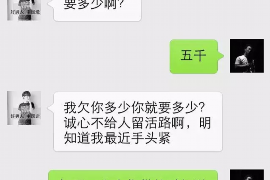 龙岩债务清欠服务